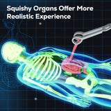GobiDex Human Body Skeleton Model Kit, Glow in The Dark Science Kit for Kid
