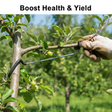 Limb Spreaders for Fruit Trees 21 PCS, 10 Inch Tree Limb Spreader, Metal Fruit Tree Branch Spreaders with Bark-Protective Rubber Hooks, Tree Branch Support for Apple Pear Cherry Plum (10 Inch)