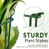 6 Pack Plant Support Stakes, 15.8" Half Round Metal Garden Plant Supports for Indoor Plants, Green Plant Cage Ring for Monstera, Peony, Hydrangea, Potted Plant Holder Sticks (10" Wide)