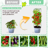 Riare 6 Pack 45in Square Tomato Cages for Garden, Heavy Duty Tomato Trellis