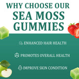 Sea Moss Gummies 16-in-1 | Irish Seamoss Gummies for Women Men with Black Seed Oil & Ashwagandha & Burdock & Bladderwrack | Boosts Immune Support, Skin Health and Digestion | 30 Gummies