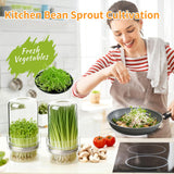 Elitrivox Sprouting Jar Kit, 2 Pack Wide Mouth Quart Mason Jars | Broccoli, Microgreens, Alfalfa Sprout Jar | Perfect for Home Gardeners, Health Enthusiasts & Vegan Diets
