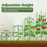 Tegarbed 6 Pack 48 Inch Tomato Cages for Garden Plant Supports