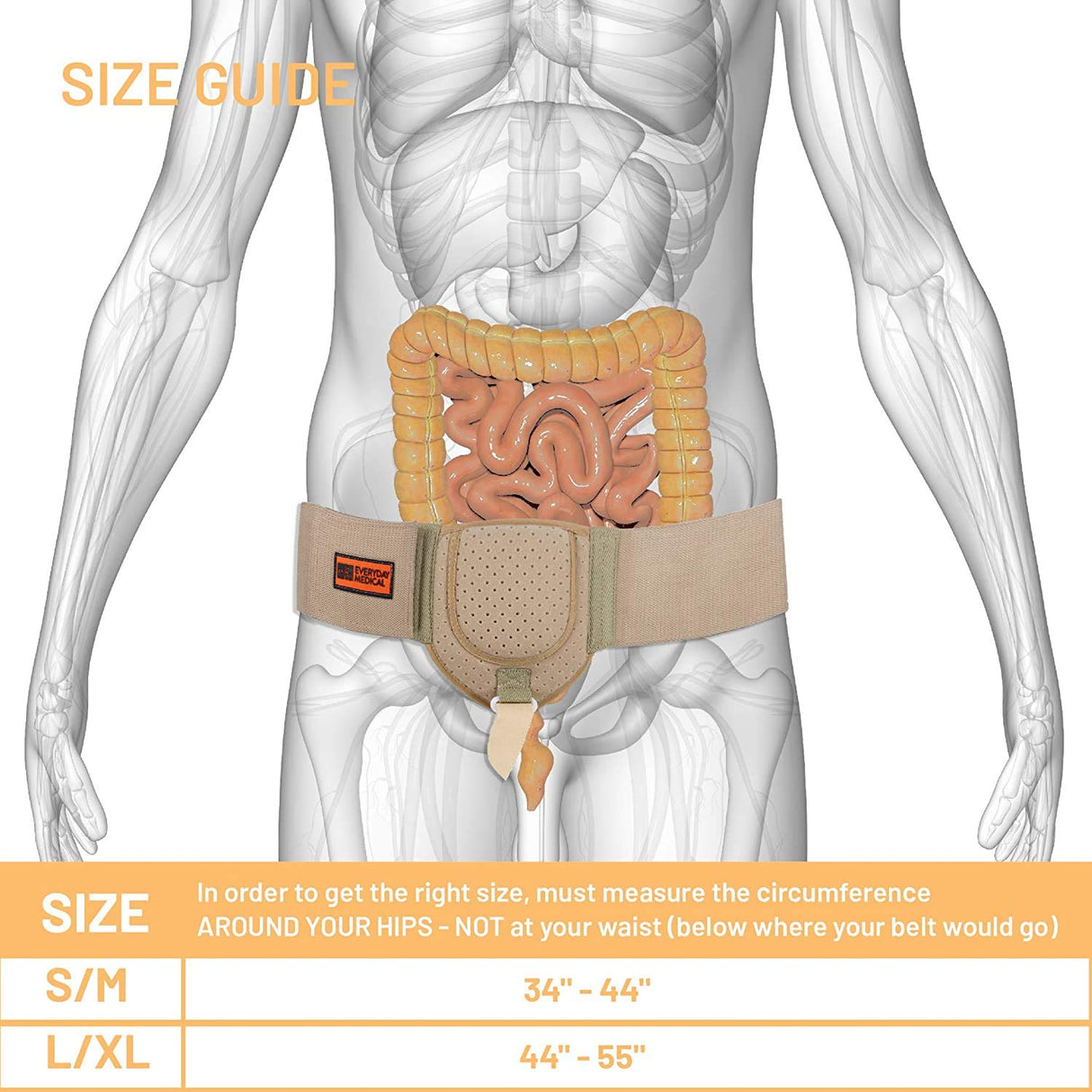 Everyday Medical Inguinal Hernia Support Belt for Men I Fits Left or Right Side I Post Surgery Men and Womens Hernia Support Truss for Inguinal, Groin Hernias I Adjustable Waist Strap I Beige | S/M