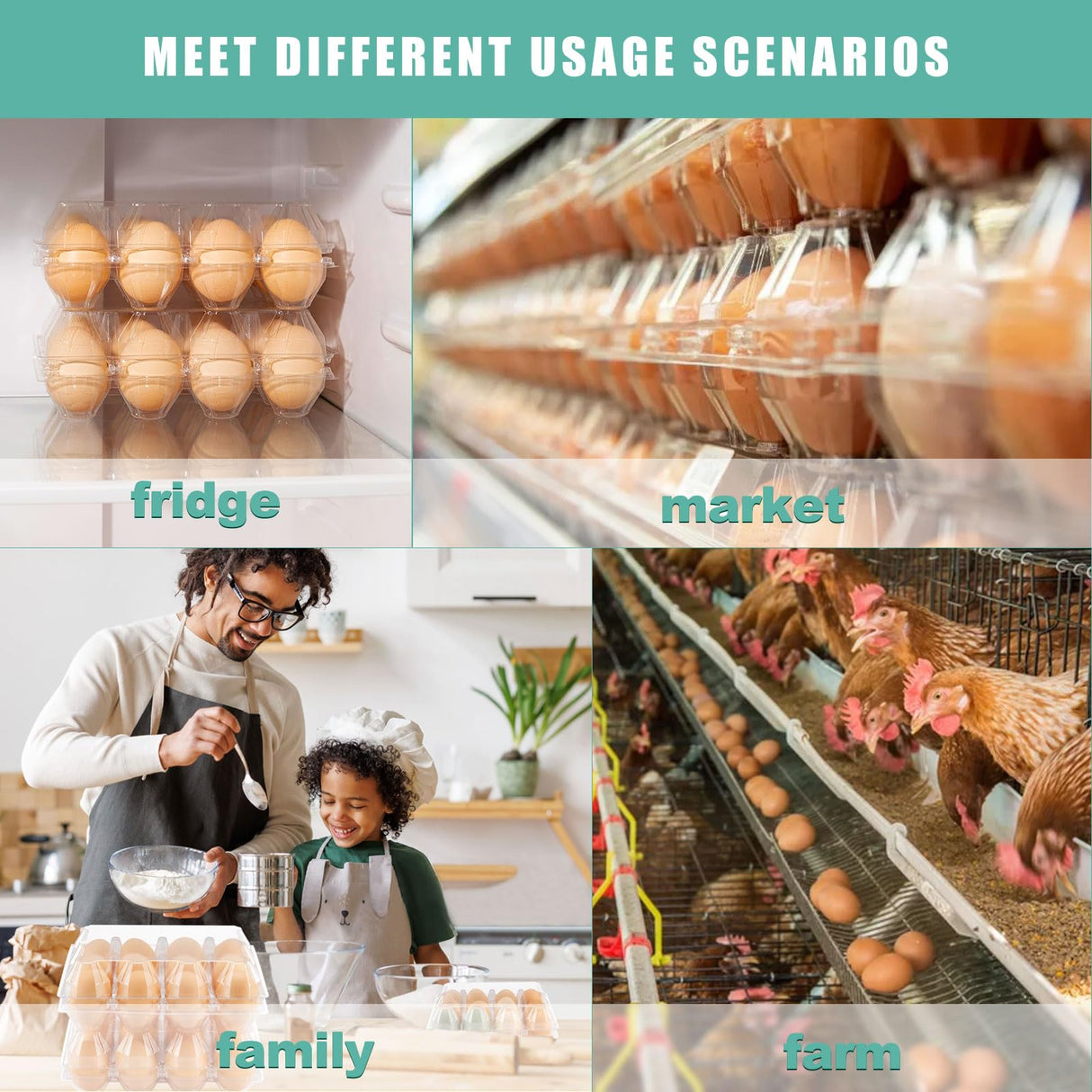 SINLUCESCE 100 Packs Egg Cartons Cheap Bulk，Plastic for 12 Eggs, Clear Egg Cartons 3 * 4 Grids，Perfect for Refrigerator Chicken Farm Markets Commercial Business Market Display