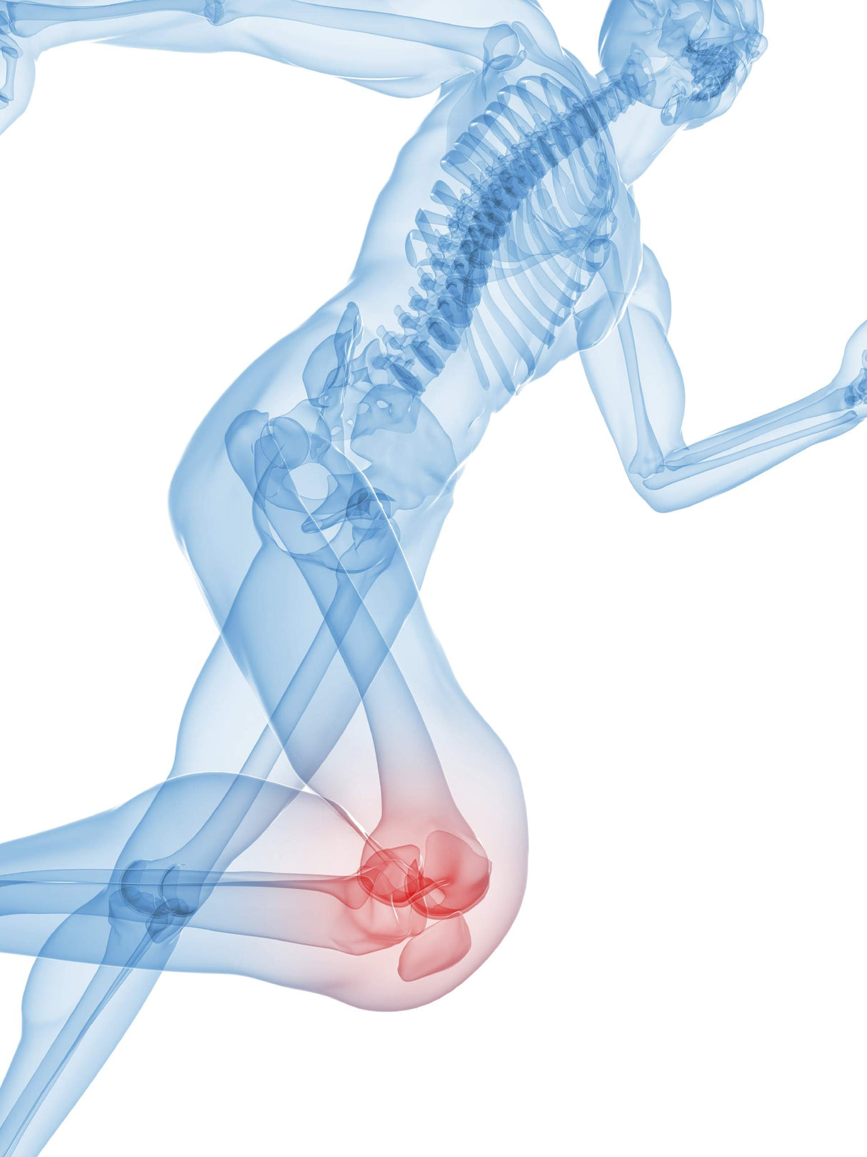 ZyCal Bioceuticals Ostinol(TM) 350 Bone & Joint Supplement with 350mg of Cyplexinol® Bio-Active Protein Complex - for Moderate Bone Loss & Moderate Joint Disfunction - 30 ct Capsules