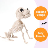 JOYIN Posable Halloween Dog Skeleton Full Body Posable Joints Realistic Skeleton Puppy with Movable Joints for Halloween Decoration, Graveyard Party Decor (9.8” X 4.7” X 12.6”)
