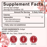 Xaarty 2Pack Premium Astaxanthin 12mg, Natural Antioxidant Supplement for Eye, Joint, Skin Health,Microalgae Source, 4 Month Supply | Supports Internal Circulation, 240 Softgels