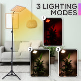 Plant Grow Light indoor,264 LEDs Full Spectrum Plant Light with Adjustable Tripod Stand with Remote Control and Auto On/Off Timer Function,Grow Lamp for Indoor Plants Greenhouse Veg Bloom Hydroponic