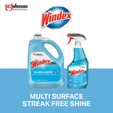 SC Johnson Professional Windex Glass and More Multi-Surface Cleaner, Windex Glass Cleaner Refill, Multi Surface Cleaner, 128 fl. oz. Bottles, 4 Count, for Professional Use Only