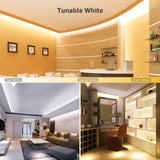 Lepro LED Tunable White Strip Light, Warm to Cool White,32.8ft Dimmable Bright LED Tape Lights, 600 LEDs 2835, Strong 3M Adhesive, Not Cuttable, Suitable for Christmas Decorations, Home, Bedroom