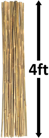 Dlh Western Natural Bamboo Poles, Eco-Friendly Plant Support Garden Stakes 4ft Long, Diameter of 3/8" (25-Count)