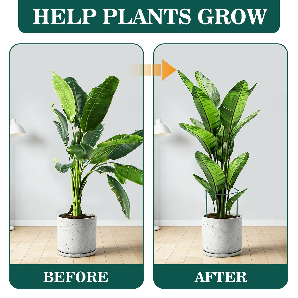 Unves 10 Pack Peony Cages and Supports, 13" W x 32" H Plant Support Stakes
