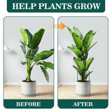 Unves 10 Pack Peony Cages and Supports, 13" W x 32" H Plant Support Stakes