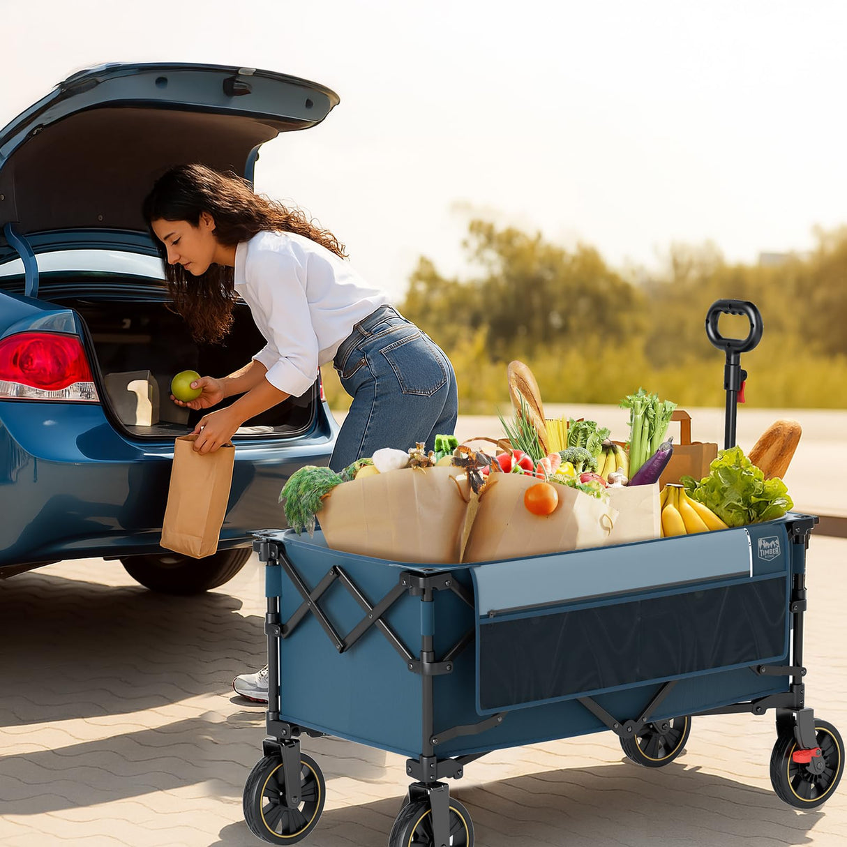 Timber Ridge Collapsible Wagon Cart with Brakes