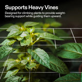 VIVOSUN 5 x 30 ft. Plant Trellis Netting, Heavy-Duty Polyester Grow Net, Garden Trellis Netting with Square Mesh for Climbing Plants, Vegetables, Fruits, and Flowers, 2-Pack
