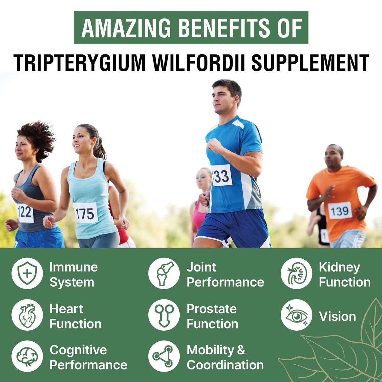 1200 MG Thunder God Vine Root Extract 20:1 Supplement, Tripterygium Wilfordii Herbal Supplement, Vegan Formula with Lei Gong Teng Extract, 120 Capsules