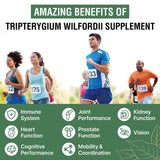 1200 MG Thunder God Vine Root Extract 20:1 Supplement, Tripterygium Wilfordii Herbal Supplement, Vegan Formula with Lei Gong Teng Extract, 120 Capsules