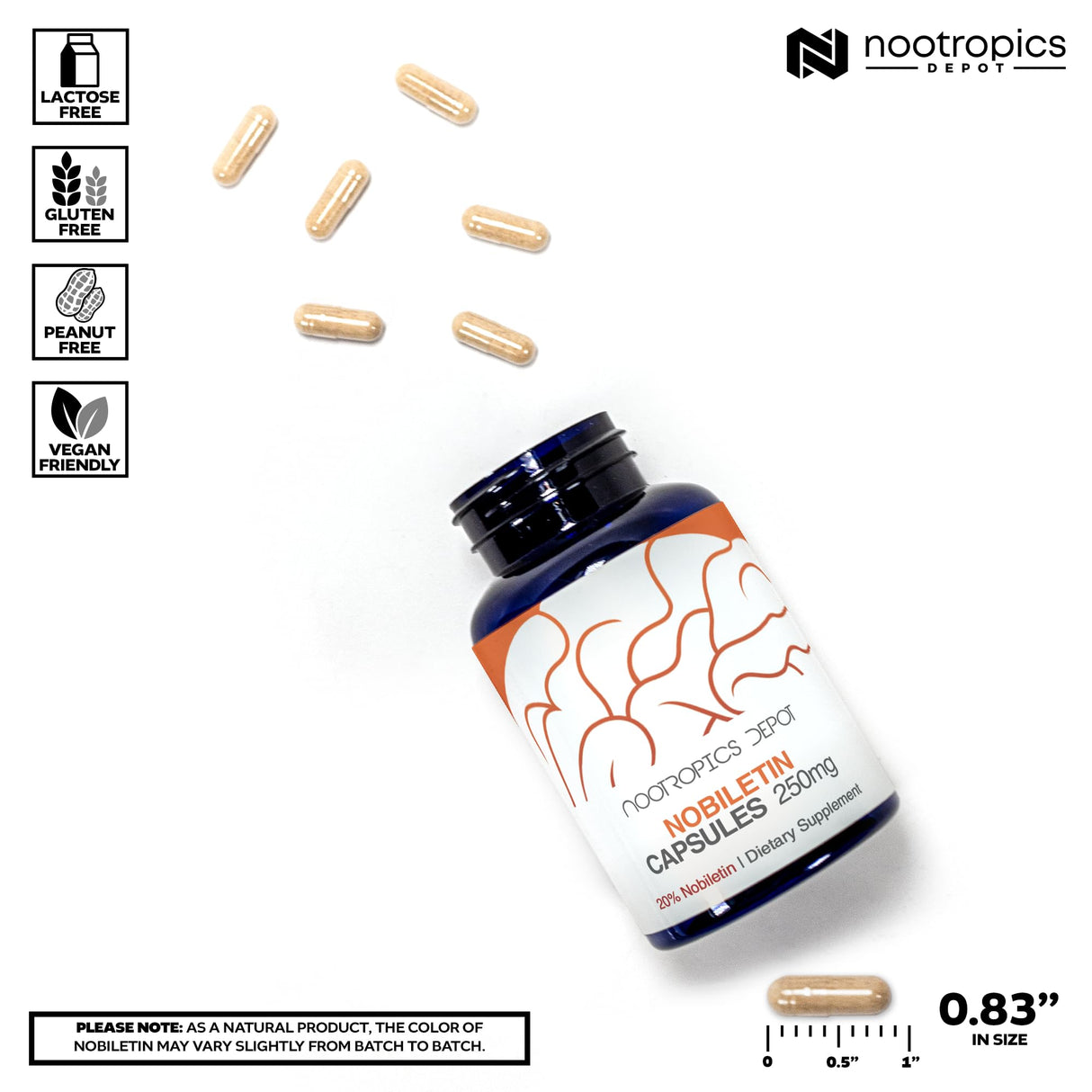 Nootropics Depot Nobiletin Capsules | 250mg | 30 Count | 20% Extract | Citrus aurantium | May Help Suppot Cognitive & Metabolic Function | May Help Promote Cardiovascular Function