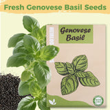 Basil Seed Pods Kit Hydroponic - Refill Herb Pod for All Indoor Garden, 8 Grow Pods with Seeds of Genovese Basil & Plant Food, Compatible with All Hydroponics Growing Systems