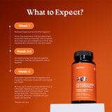 Akkermansia Probiotic | GLP-1 Supplement for Gut Health, Akkermansia Muciniphila, 2 Billion CFU Live Strain for Men & Women (60 Capsules, 1-Pack) - Inulin Prebiotic Fiber, Increases GLP1 Production