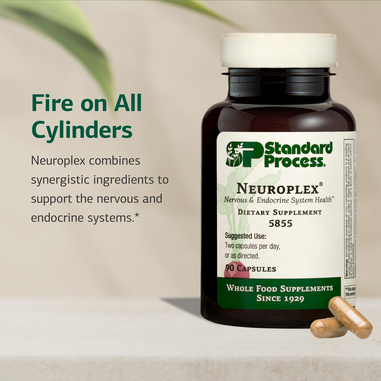 Standard Process Inc. Neuroplex - Whole Food Nervous System Supplements, Brain Health and Brain Support with Thiamin, Spanish Moss, Riboflavin, Calcium Lactate, Vitamin B6, Niacin - 90 Capsules