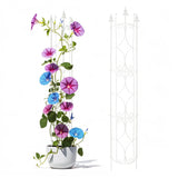 Thealyn Garden Trellis 2 Pack 72'' H x 12'' W Metal Plant Trellis