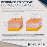 Del Mar Labs - CeraLift - 30 Day Supply - Doctor Formulated - For Reduction in Appearance of Fine Lines and Wrinkles - Anti-Aging Ceramides and Antioxidants - Vegetarian Capsules