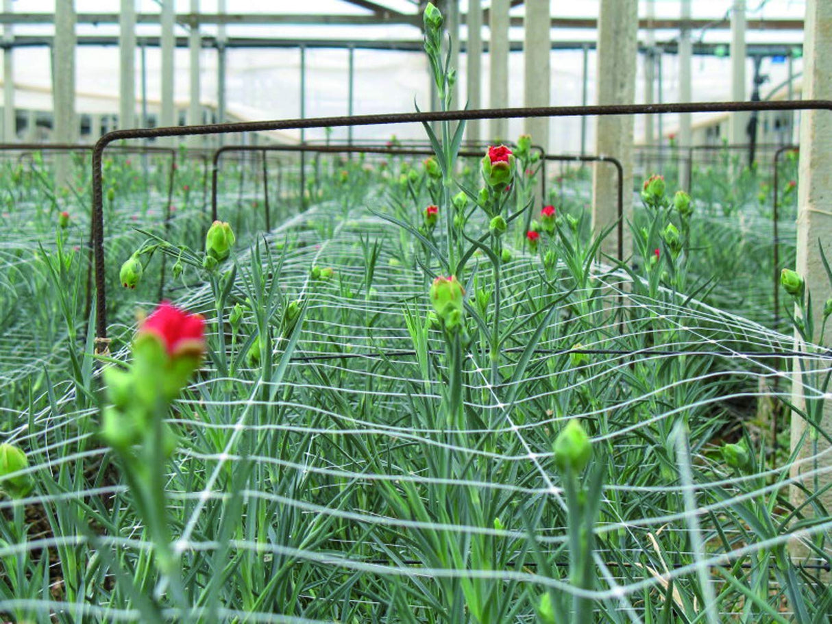 Tenax 100522970 Hortonova Plant Trellis Net, 6.5' x 50'/ 79" x 50', White