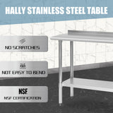 Hally Stainless Steel Table for Prep & Work 18 x 48 Inches, NSF Commercial Heavy Duty Table with Undershelf and Backsplash for Restaurant, Home and Hotel