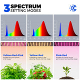 Barrina CX83 Plant Stand with Grow Lights, 6-Tier Plant Shelf with 10W Full Spectrum Ultra-Thin Grow Light Panel, 3 Modes, Auto Timer, Ladder Flower Pot Stand Display Rack 15.7" L x 11.8" W x 70.9" H