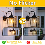 DAYBETTER 12 Pack A19 Vintage LED Edison Bulbs, 60W Equivalent, Dimmable, High Brightness 2700K Warm White, 800 Lumens, 8W E26 Standard Base, CRI80+, Clear Glass Filament Bulb for Living Room