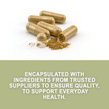 Evergreen Herbs Cuachalalate Herb (Amphipetyglum Adstringens) - Resealable Stand Up Pouch to Ensure Freshness! (Capsules)