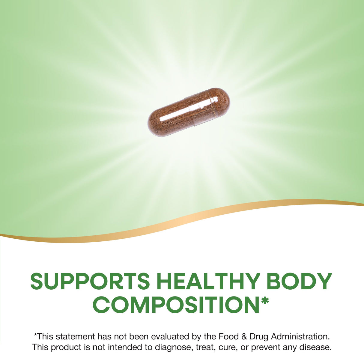 Nature's Way Forskohlii Standardized to Forskolin, Supports Healthy Body Composition*, 60 Vegan Capsules