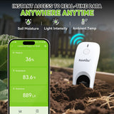 RainPoint 3-in-1 APP Remote Monitoring WiFi Soil Meter Indoor/Outdoor
