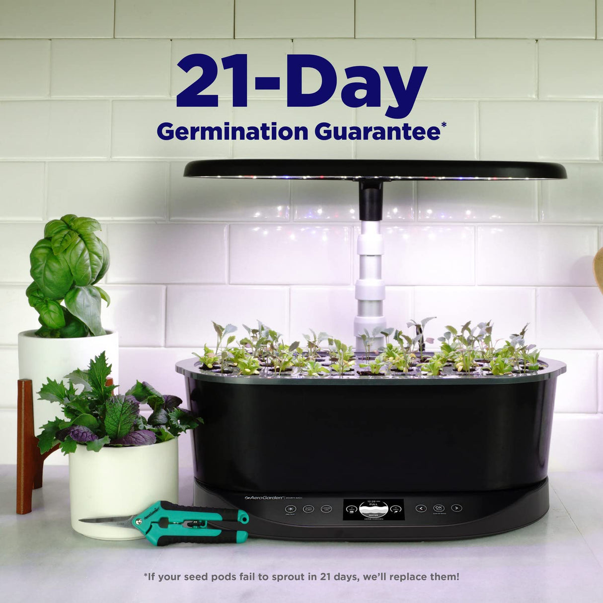 AeroGarden Bounty Basic, Black