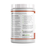 Absorb Plus Vegan Elemental Shake – Powdered Blend, Natural Ingredients, Non-GMO, Gluten-Free, Organic Sprouted Rice Protein - Smooth, Easily Mixable Formula (2.2 lbs, Simply Horchata Creme)