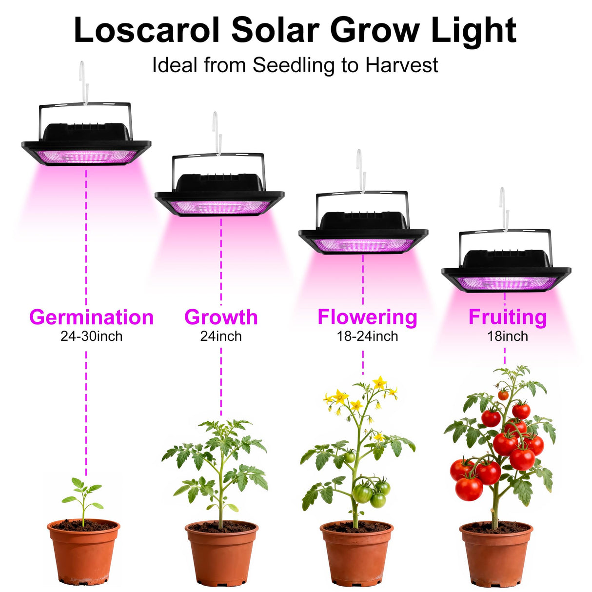 Loscarol Solar Grow Lights, Rechargeable Grow Light, Full Spectrum Plant Light for Indoor Outdoor Plants with Timer, Solar Plant Lights for Greenhouse with Remote Control and 16.4ft Cord/USB Charging