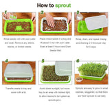 SUNPRO 2-Pack Seed Sprouter Tray with Humidity Lid, BPA Free Food Grade Soil-Free Sprouting Kit, Large Capacity Wheatgrass Grower & Microgreens Germination Station for Beans, Peas, Cat Grass (Green)