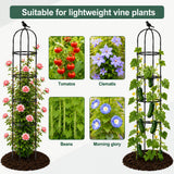 OTOSUNNY 2 Pack 6 ft Garden Obelisk Trellis for Climbing Plants Outdoor