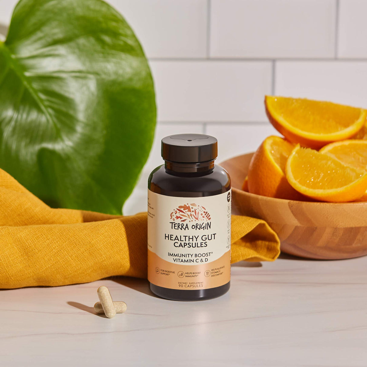 TERRA ORIGIN Healthy Gut Capsules with Immunity Boost | 90 Capsules | Non GMO, Gluten Free, Dairy Free | Digestive Support for Men and Women