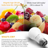 Briignite LED Light Bulbs, 3 Way Light Bulbs 50 100 150W Equivalent, 3 Way Light Bulb, Three Way A19 E26 Medium Base, Warm White 3000K, 600lm-1200lm-1600lm, 4 Pack