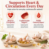 MiloLabCo Resilia Aged Garlic Extract Softgels with CoQ10 Ubiquinol, Odorless 2-Year Matured Garlic Supplement, Non-GMO, 60 Softgels
