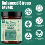 Sea Moss Gummies 16-in-1 | Irish Seamoss Gummies for Women Men with Black Seed Oil & Ashwagandha & Burdock & Bladderwrack | Boosts Immune Support, Skin Health and Digestion | 30 Gummies