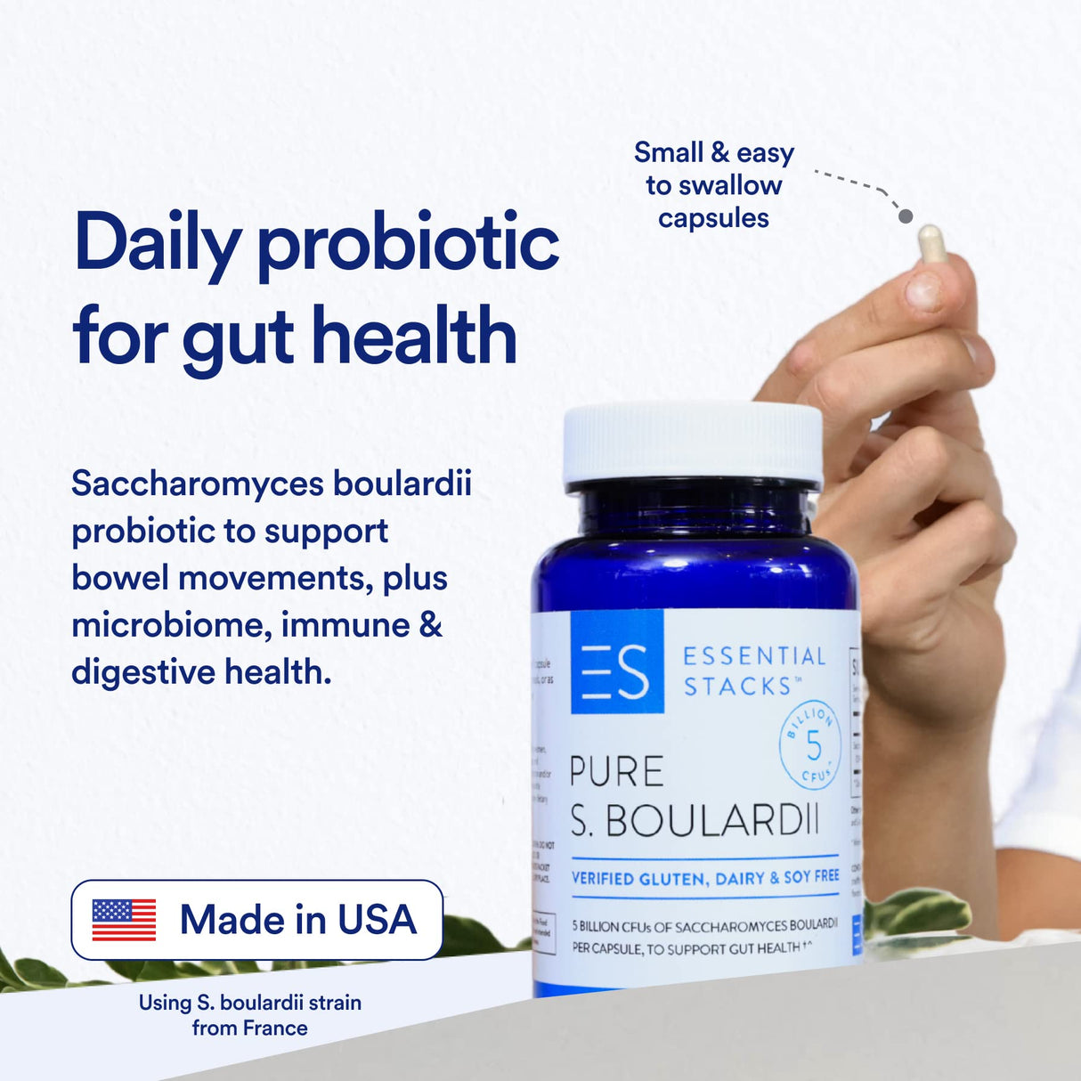Essential Stacks Saccharomyces Boulardii Probiotics (Non-GMO & Gluten Free) - 5 Billion CFUs for Gut Health (60 Capsules)