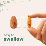 Micro Ingredients Black Seed Oil 2000 mg with Vitamin D3 1000 IU, 240 Softgels | Cold Pressed - Nigella Sativa Pills from Egypt, Virgin Oil, Odorless, Non-GMO & No Gluten