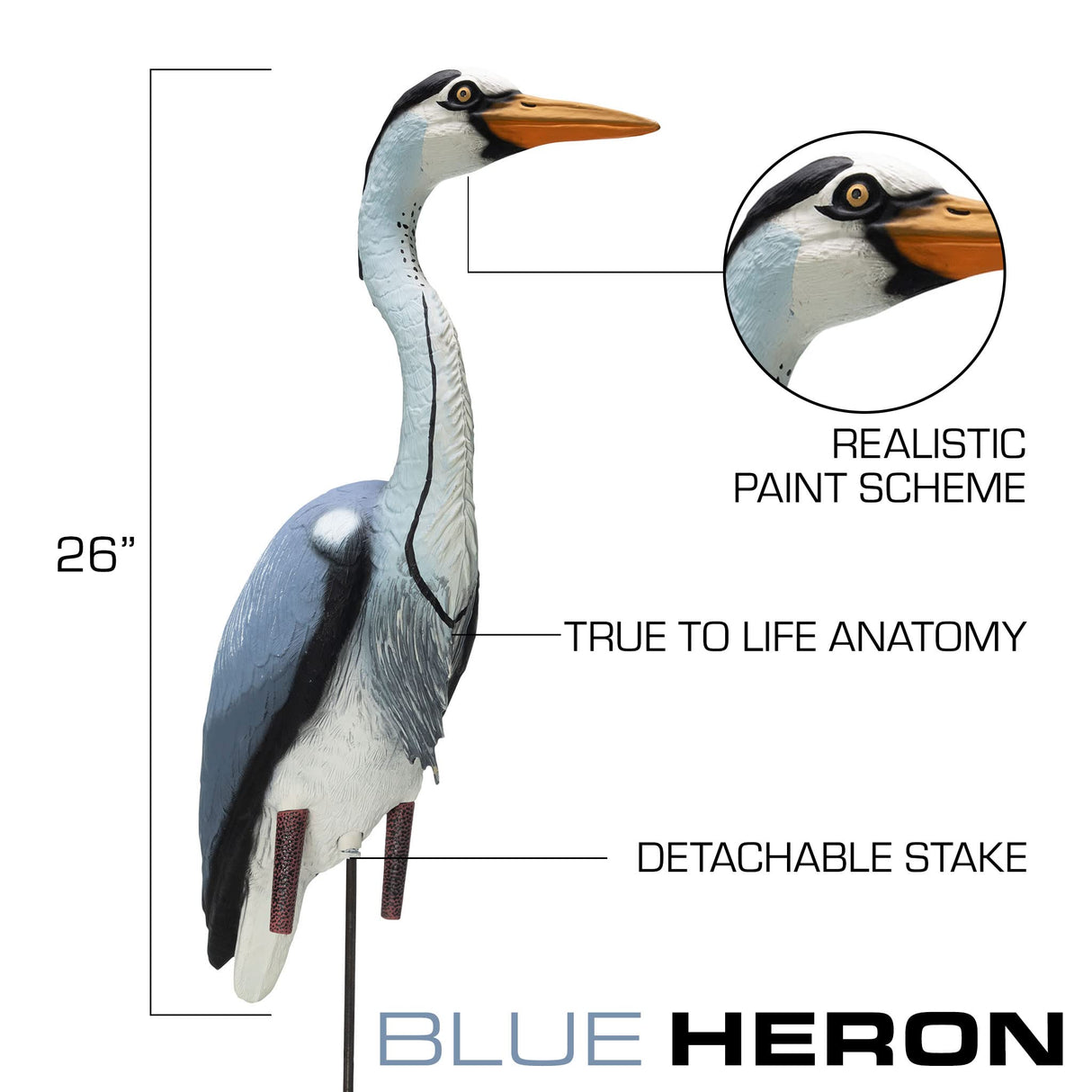 Higdon Outdoors Blue Heron Confidence Decoy for Waterfowl and Ornamental Water Garden, Pond and Landscape Decoration Plus Pest Deterrent
