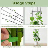 FAFTFTDY Trellis for Climbing Plants Indoor, 4 Pack 31'' Metal Plant Trellis Indoor for Potted Plants, Sturdy Plant Support Outdoor for Ivy Pothos Monstera Hoya Flower Vine, Fan Shape