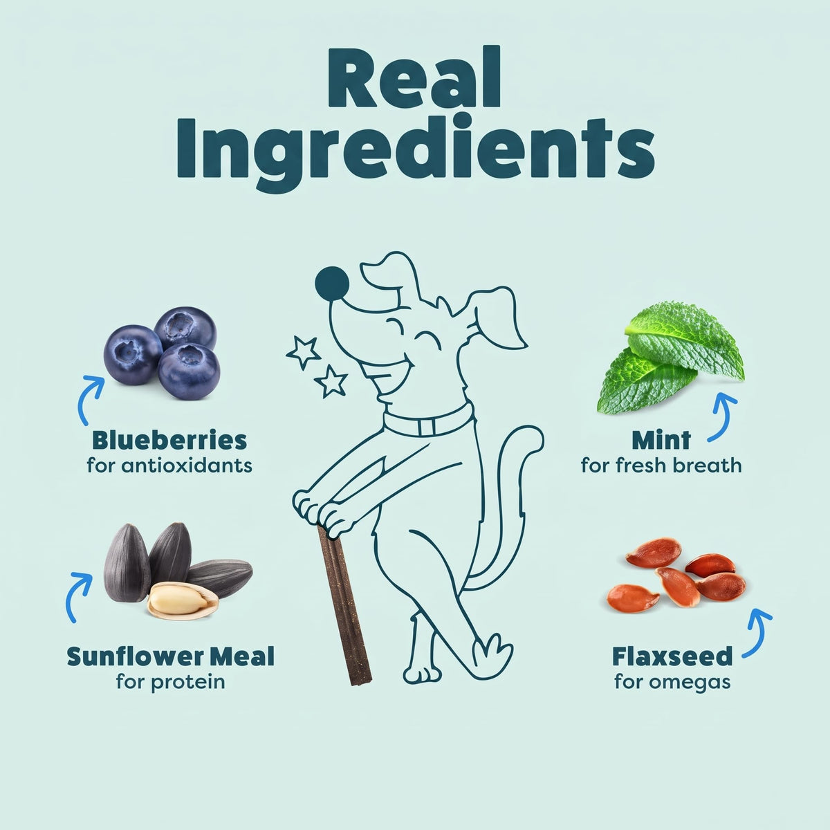 Shameless Pets Blueberry & Mint Dental Chews for Dogs, 32 Chews