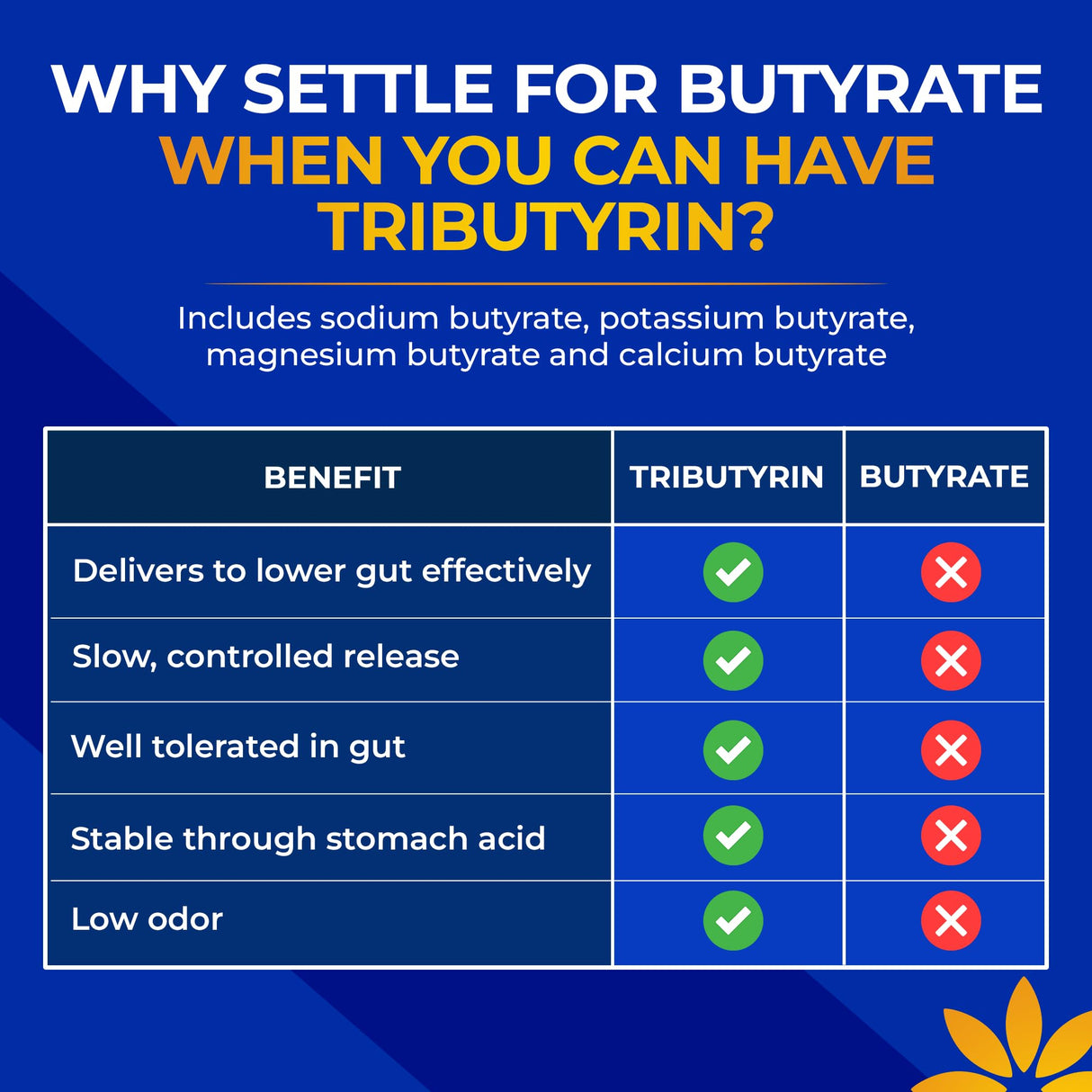 CoreBiome Tributyrin Supplement - Better Delivery & More Effective than Sodium Butyrate - Gut Health & Digestive Support - 3-in-1 Butyrate Postbiotics for Leaky Gut & Gut Barrier Support - 30 Capsules